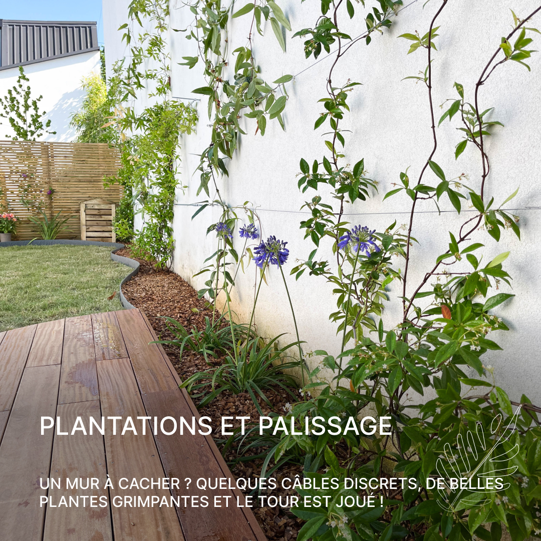 Plantations et palissage